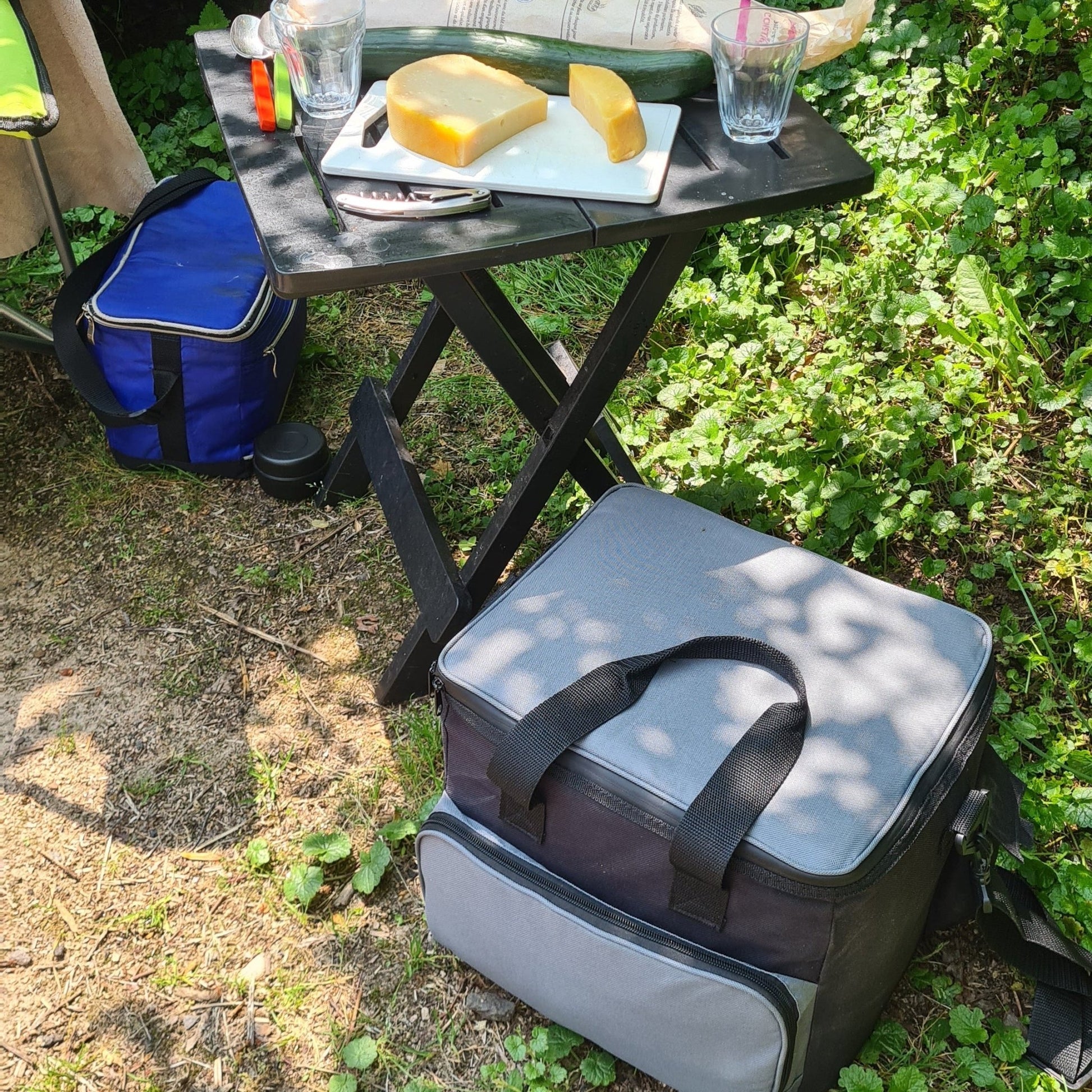 Koelen onderweg en thuis – elektrische koeltas 15 L met omvormer voor 220V naar 12V - THINGS - TO - BUY