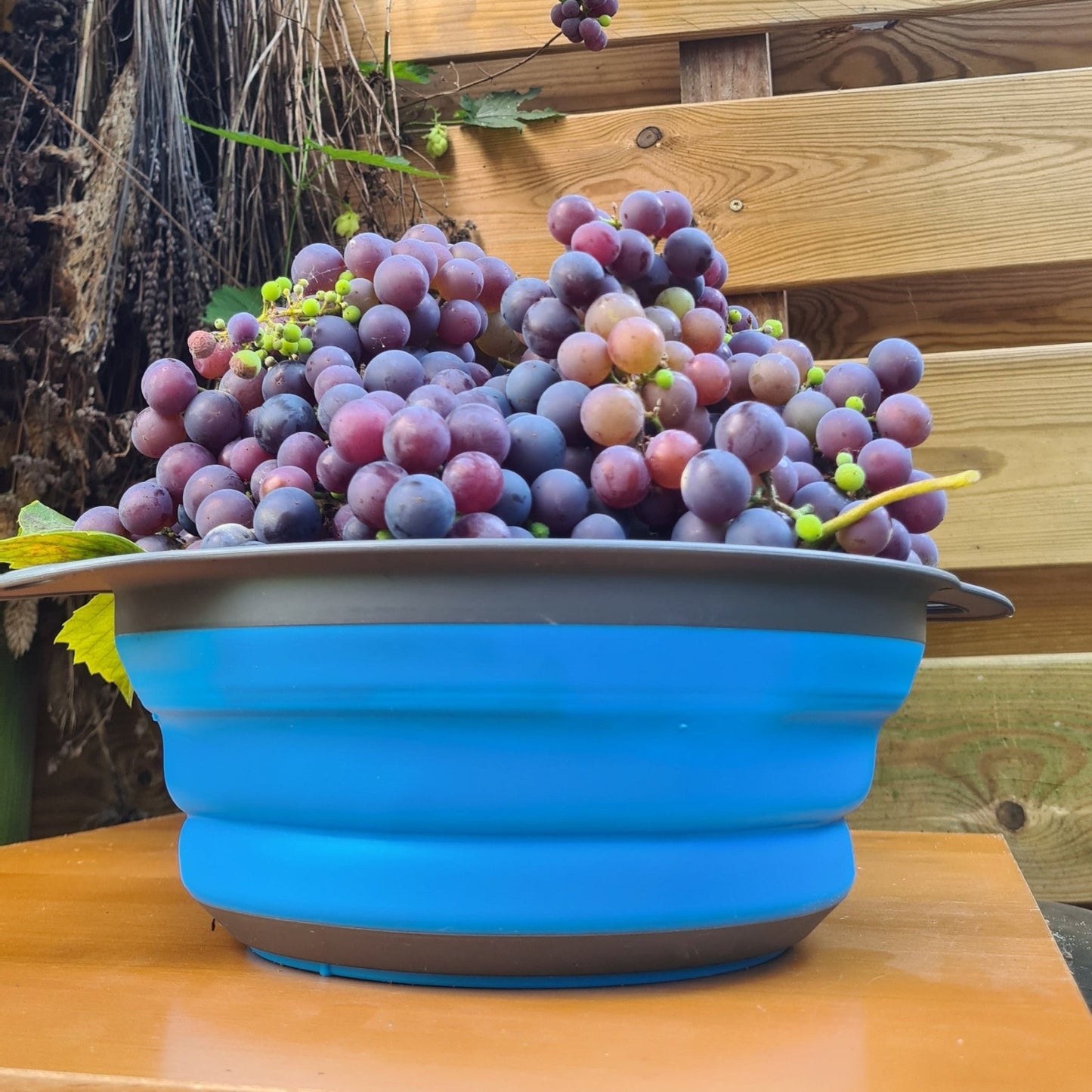 Compact opbergen, groot gemak – opvouwbaar siliconen vergiet Ø20 cm, BPA - vrij & hittebestendig - THINGS - TO - BUY