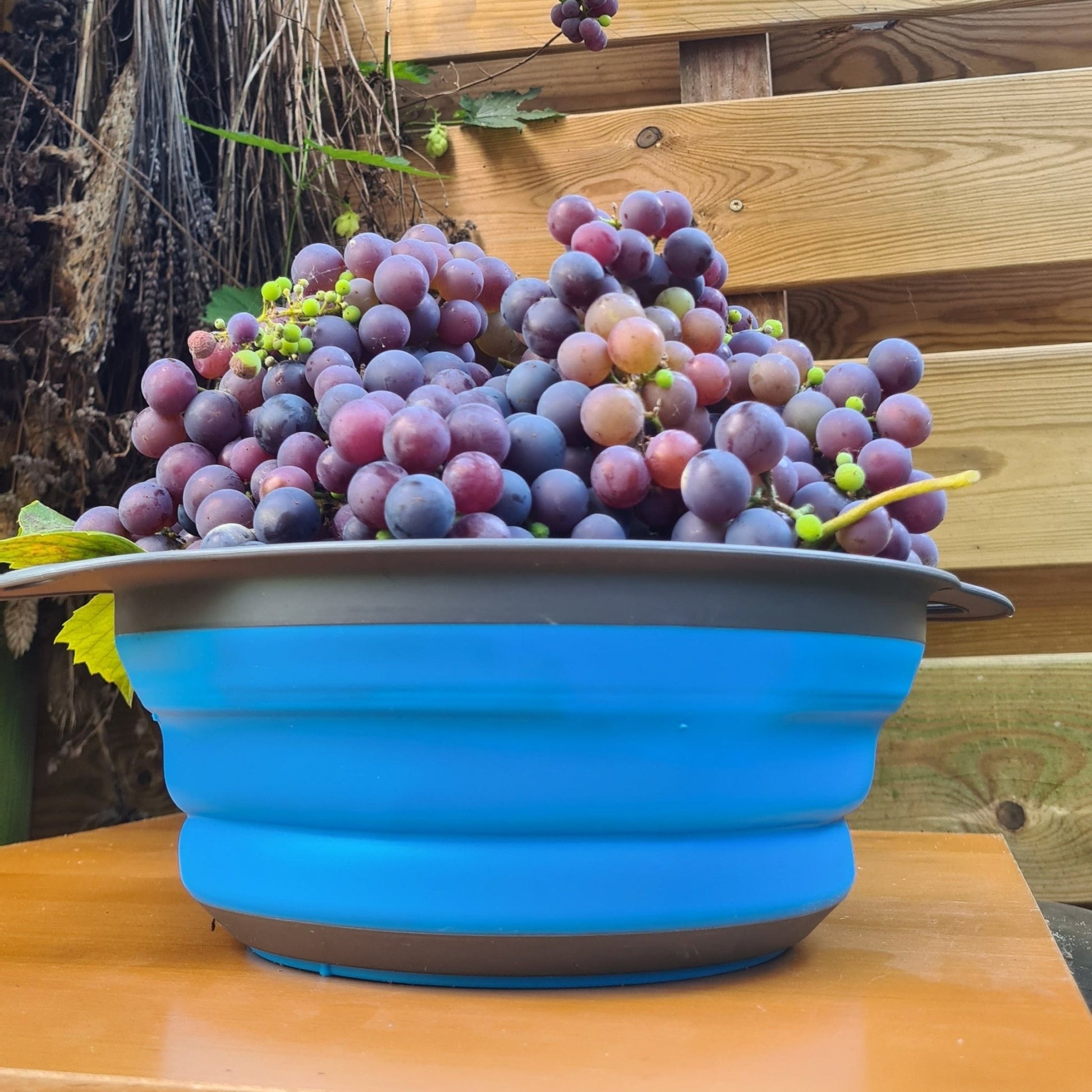 Compact opbergen, groot gemak – opvouwbaar siliconen vergiet Ø20 cm, BPA - vrij & hittebestendig - THINGS - TO - BUY